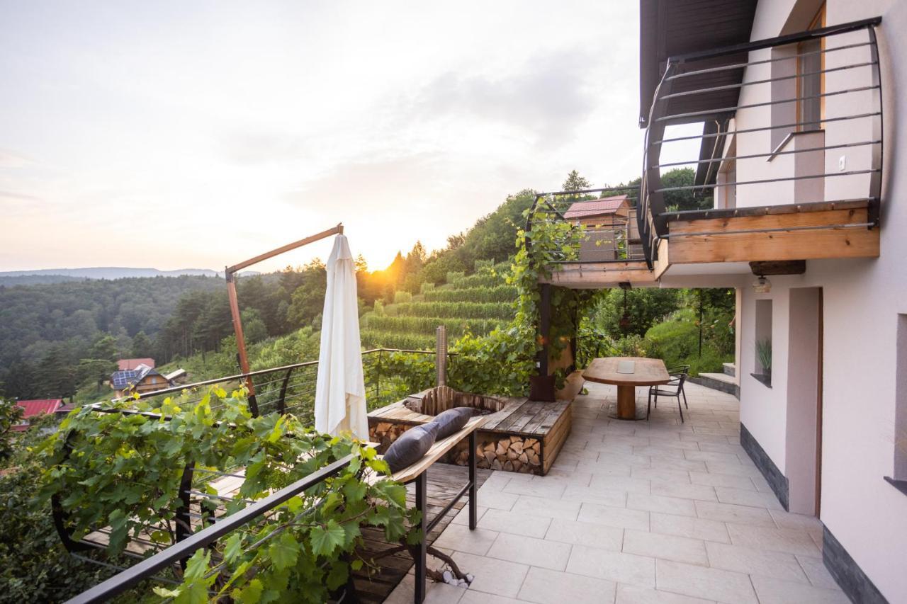 Vineyard Cottage Sonce Sentvid Pri Sticni Екстер'єр фото