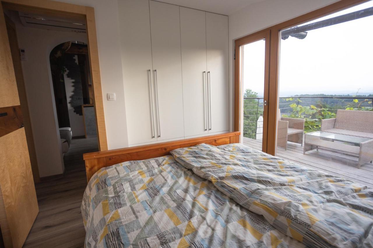 Vineyard Cottage Sonce Sentvid Pri Sticni Екстер'єр фото