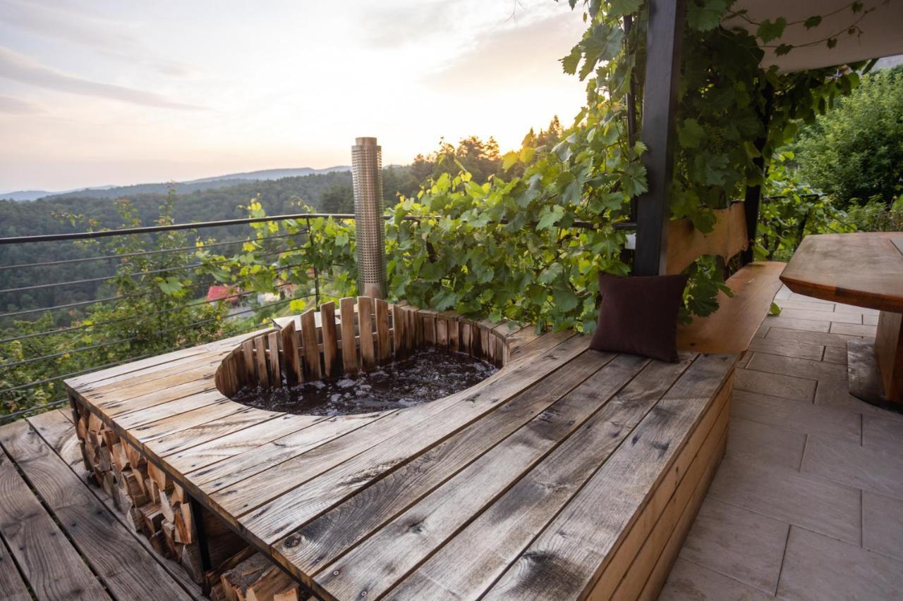 Vineyard Cottage Sonce Sentvid Pri Sticni Екстер'єр фото